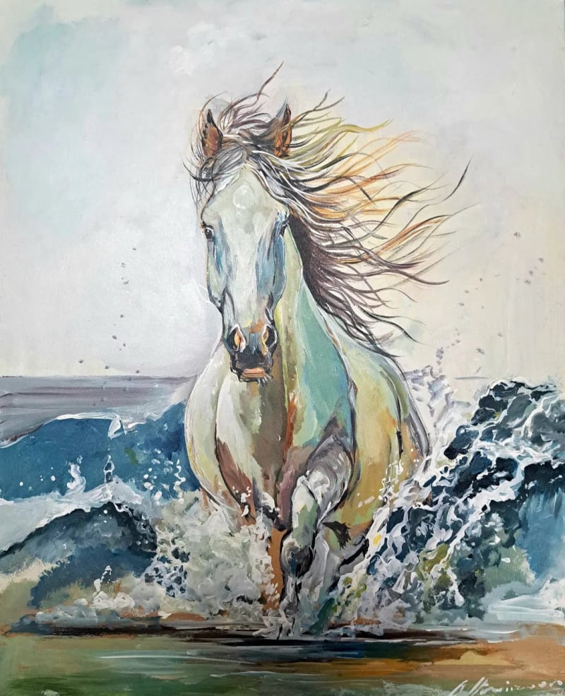 Caballo Salvaje Sobre el Agua